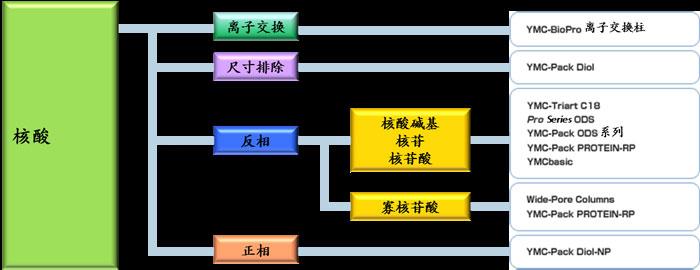 核酸分析的YMC色譜柱選擇方法